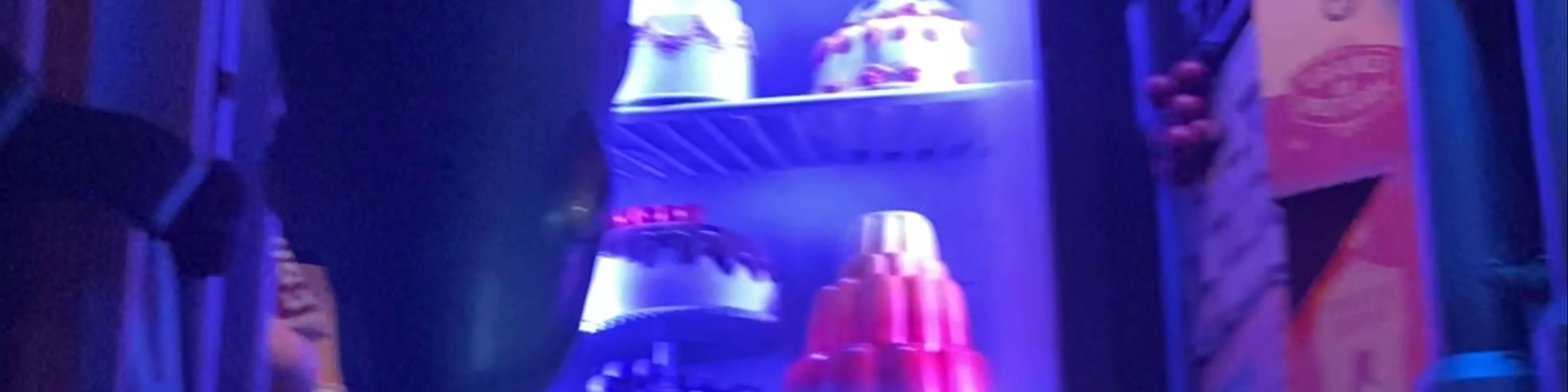 Remy's Ratatouille Adventure