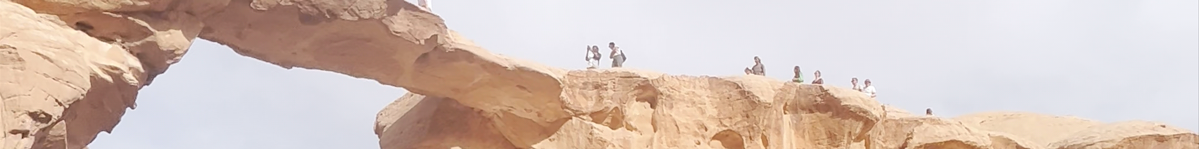 Tours & experiences in Jordan