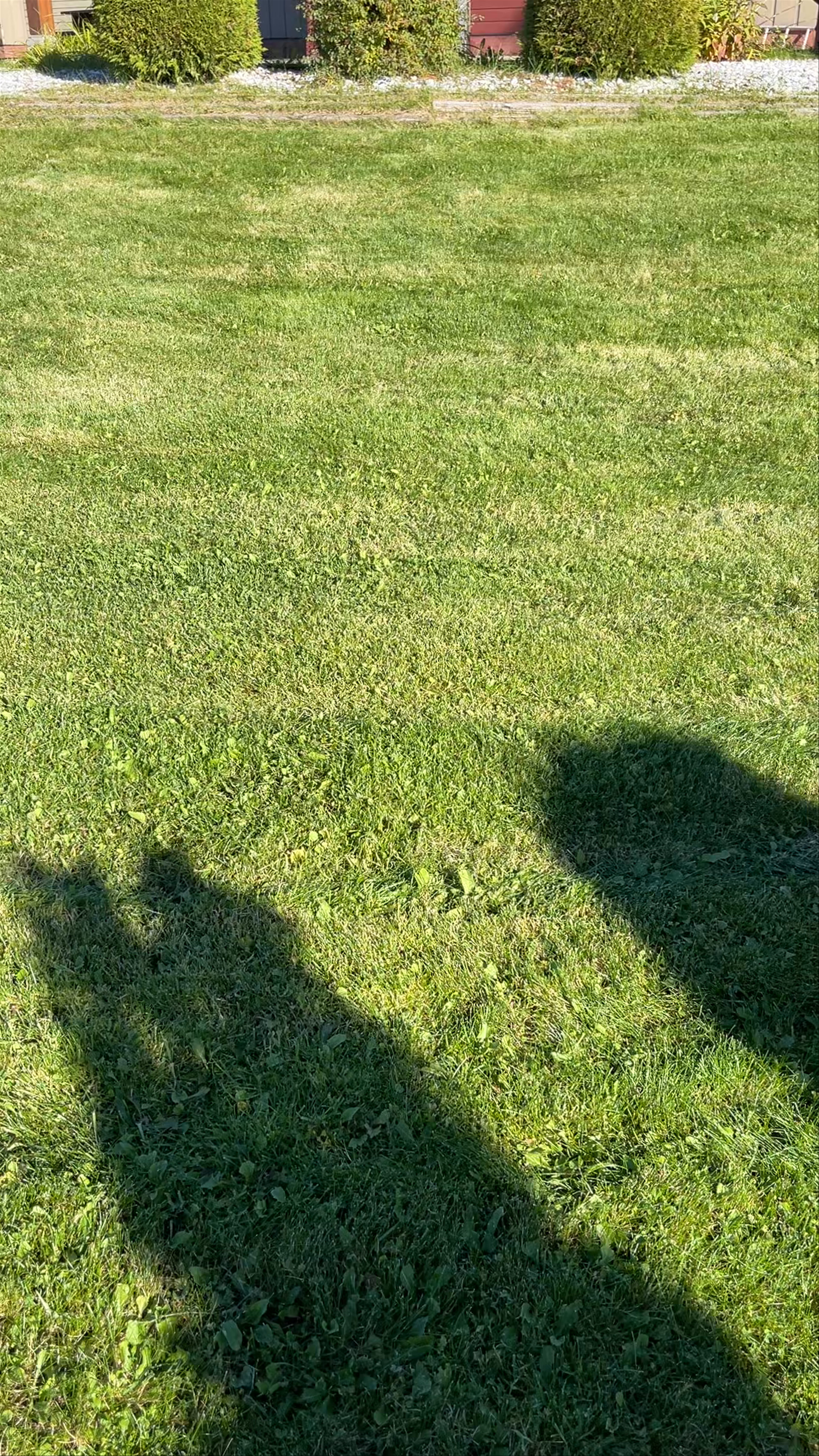 Gitlax̱t'aamiks Village Government