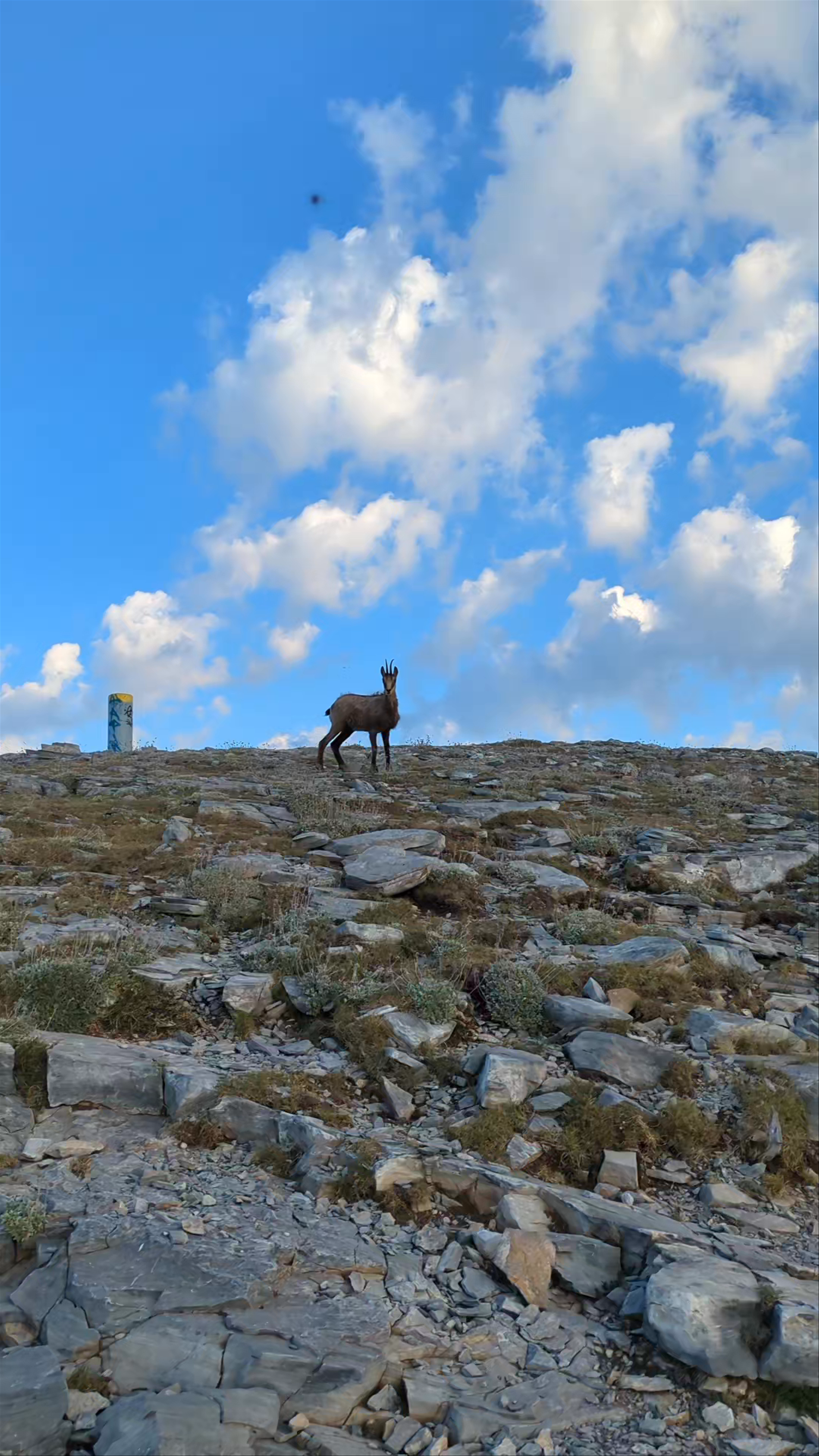  Skourta Peak 2476.36 m.