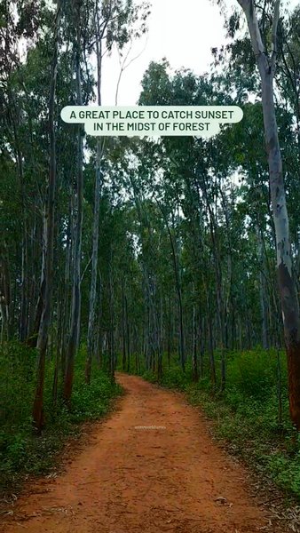 Photo of A great sunset spot 