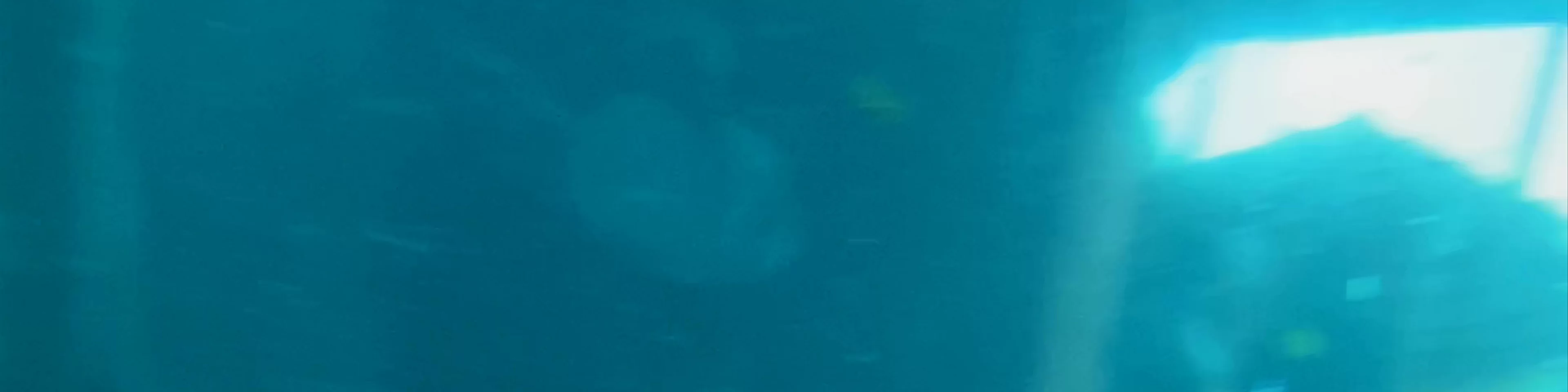 Atlantis Bahamas