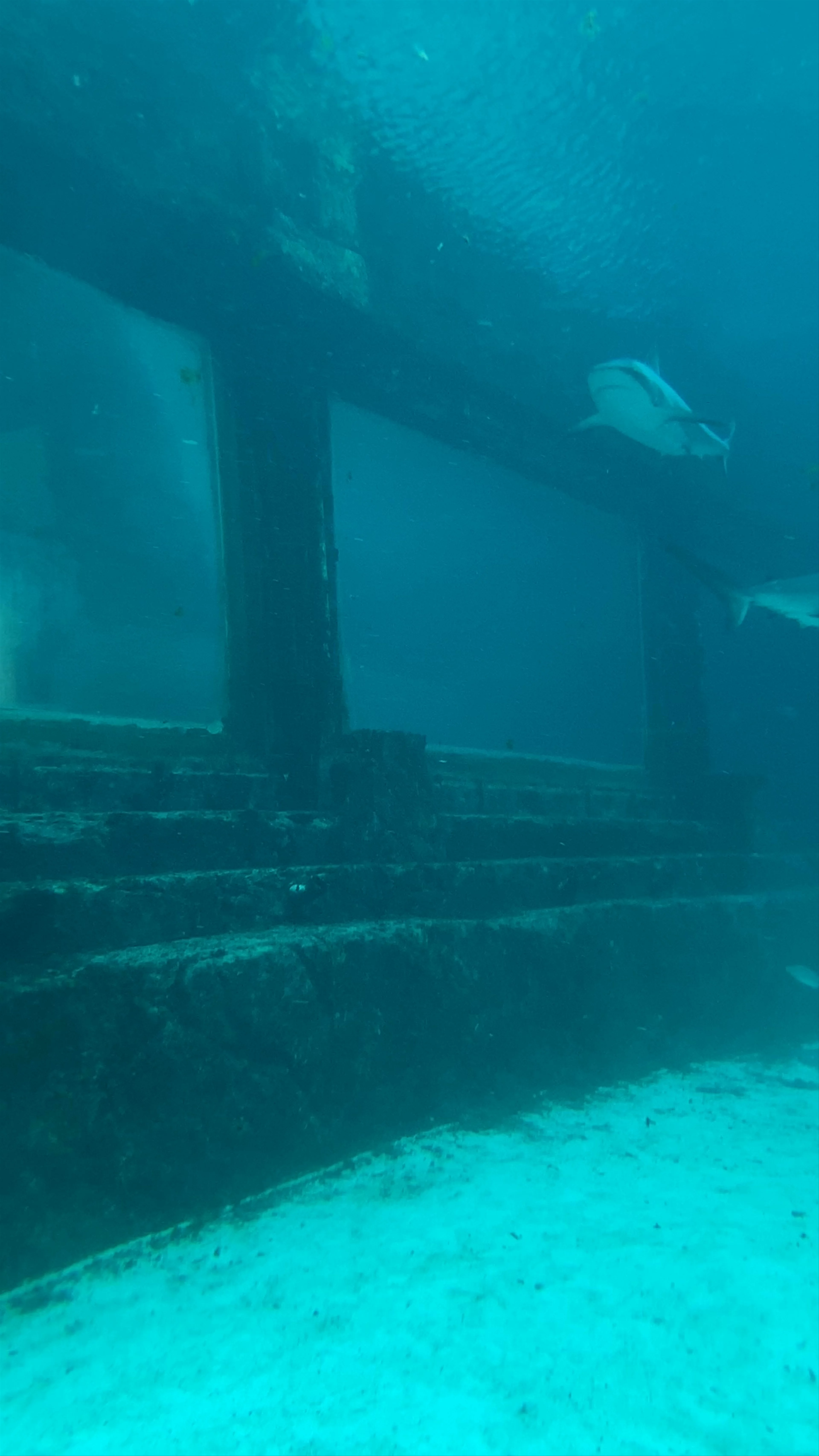 Atlantis Bahamas, Paradise Island, The Bahamas