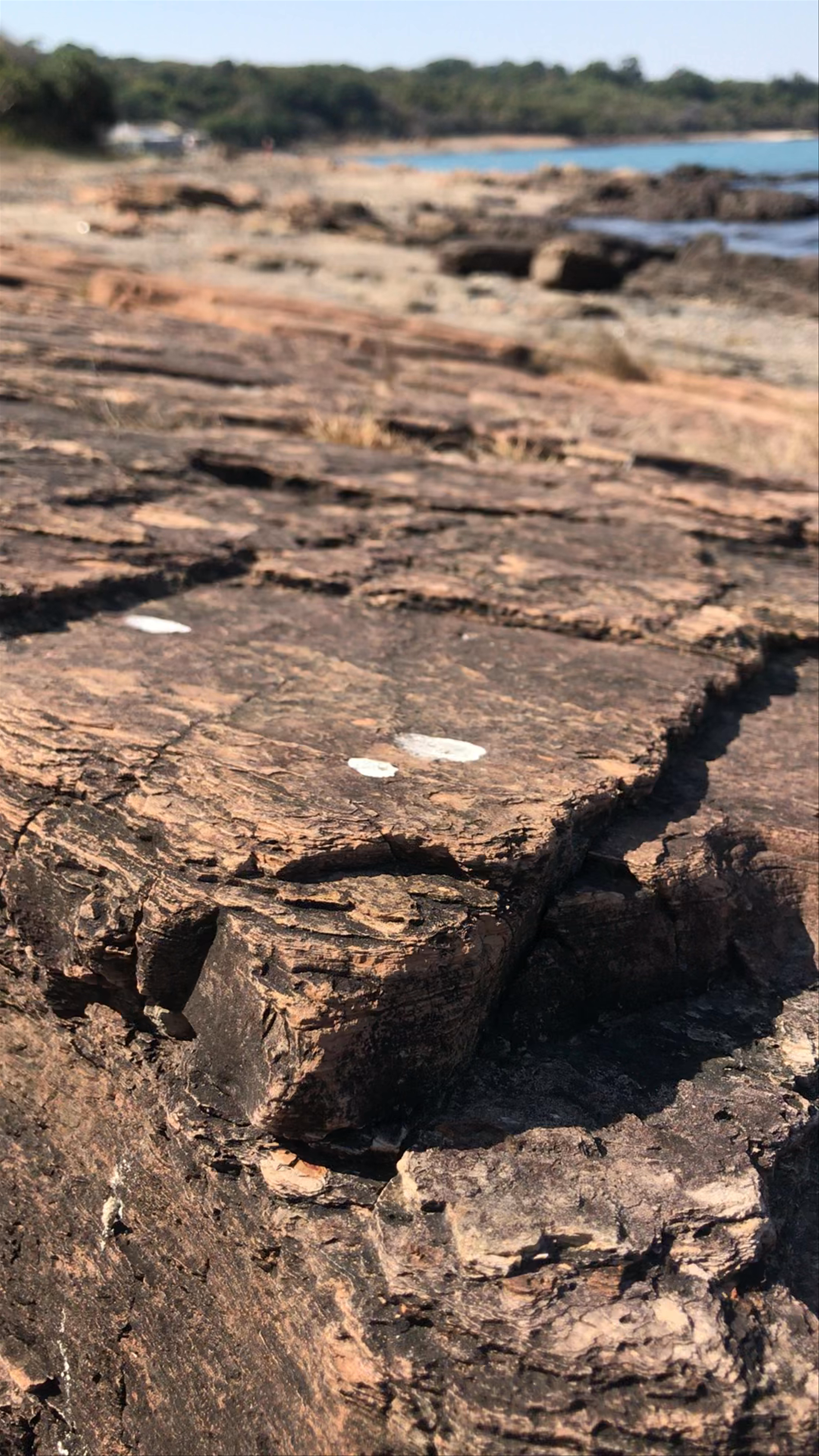 Tung Ping Chau Marine Park