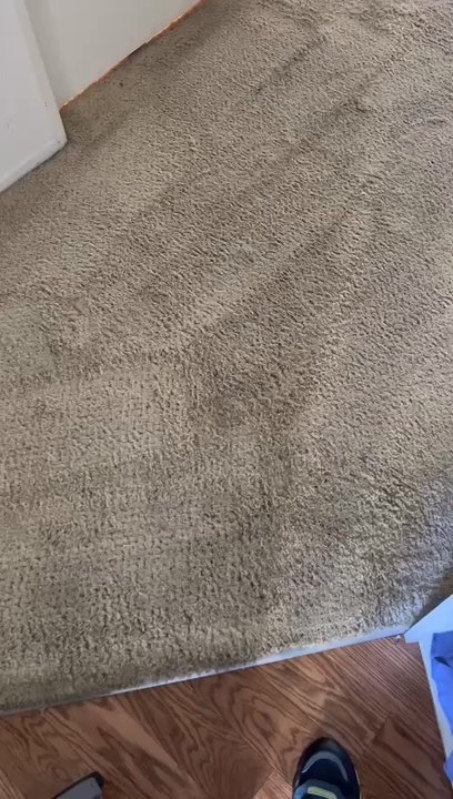 DeepClean - Super clean !! Smelling amazing ! - Carpet Cleaning Near Me