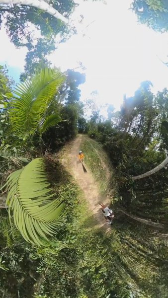 Photo of Elephant Beach Trek 