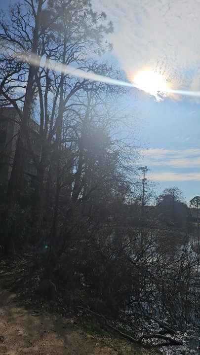 Becks Prime - Outback...turtles and ducks lake. - Hot Dogs Near Me - The Woodlands, Texas