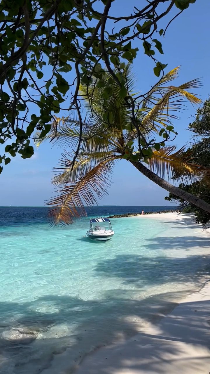 add to the bucket list 🏝️
📍 Seychelles
🎥 Elif Topal · Pexels
#travel #beach #island #paradise #wanderlust