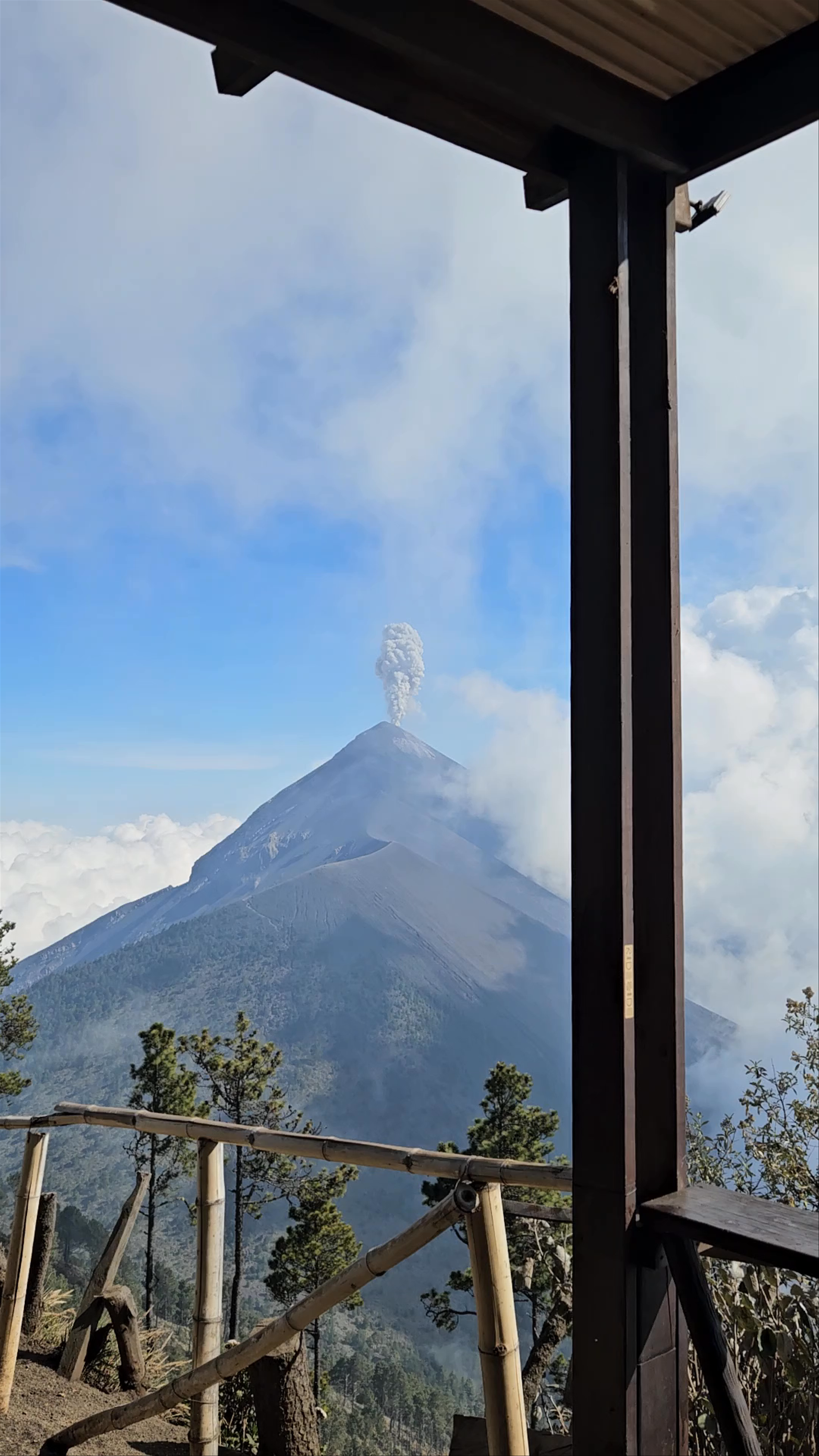 Tropicana basecamp