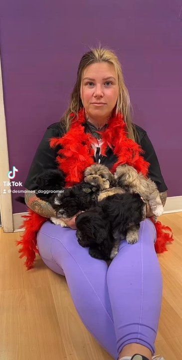 Clipper Doodle Do - Puppy spa day - Pet Groomers Near Me - Des Moines, Iowa