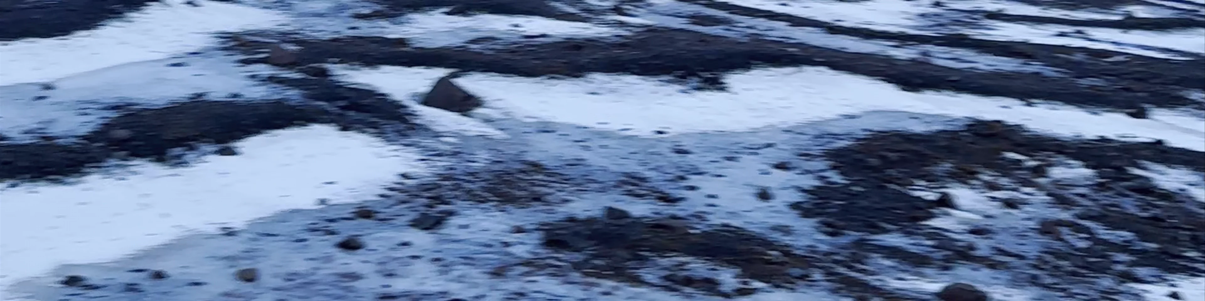 Svínafellsjökull