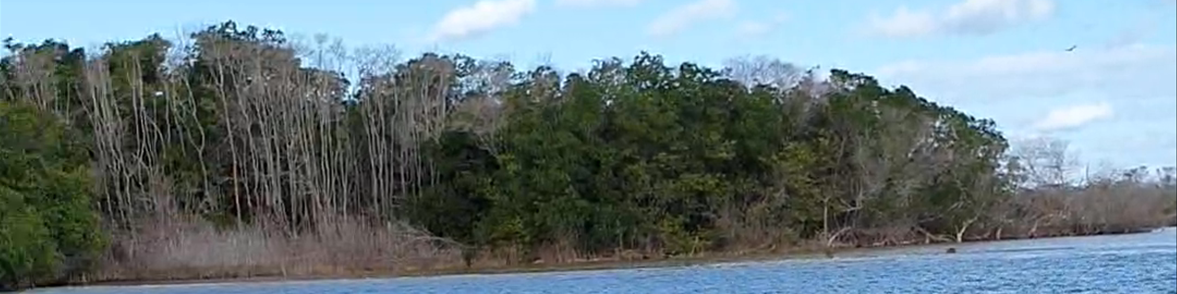 Río Lagartos