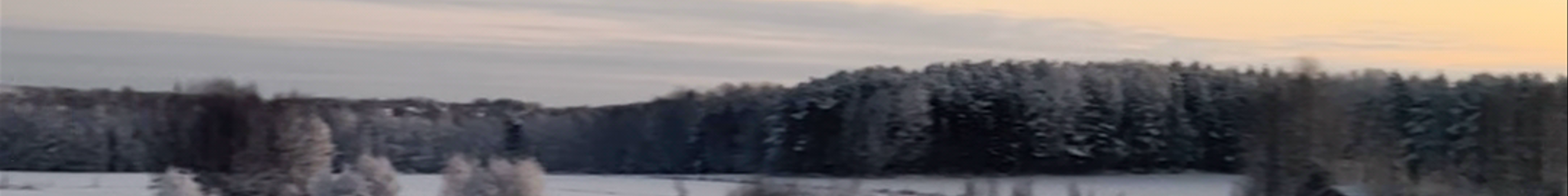 Tours & experiences in Piteå