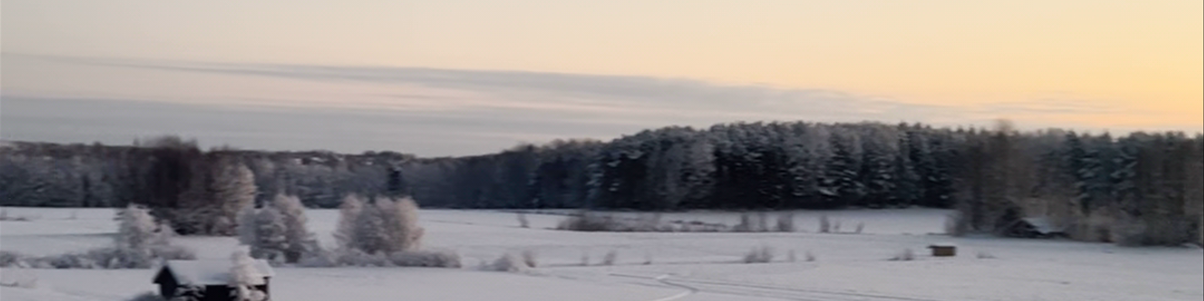 Piteå