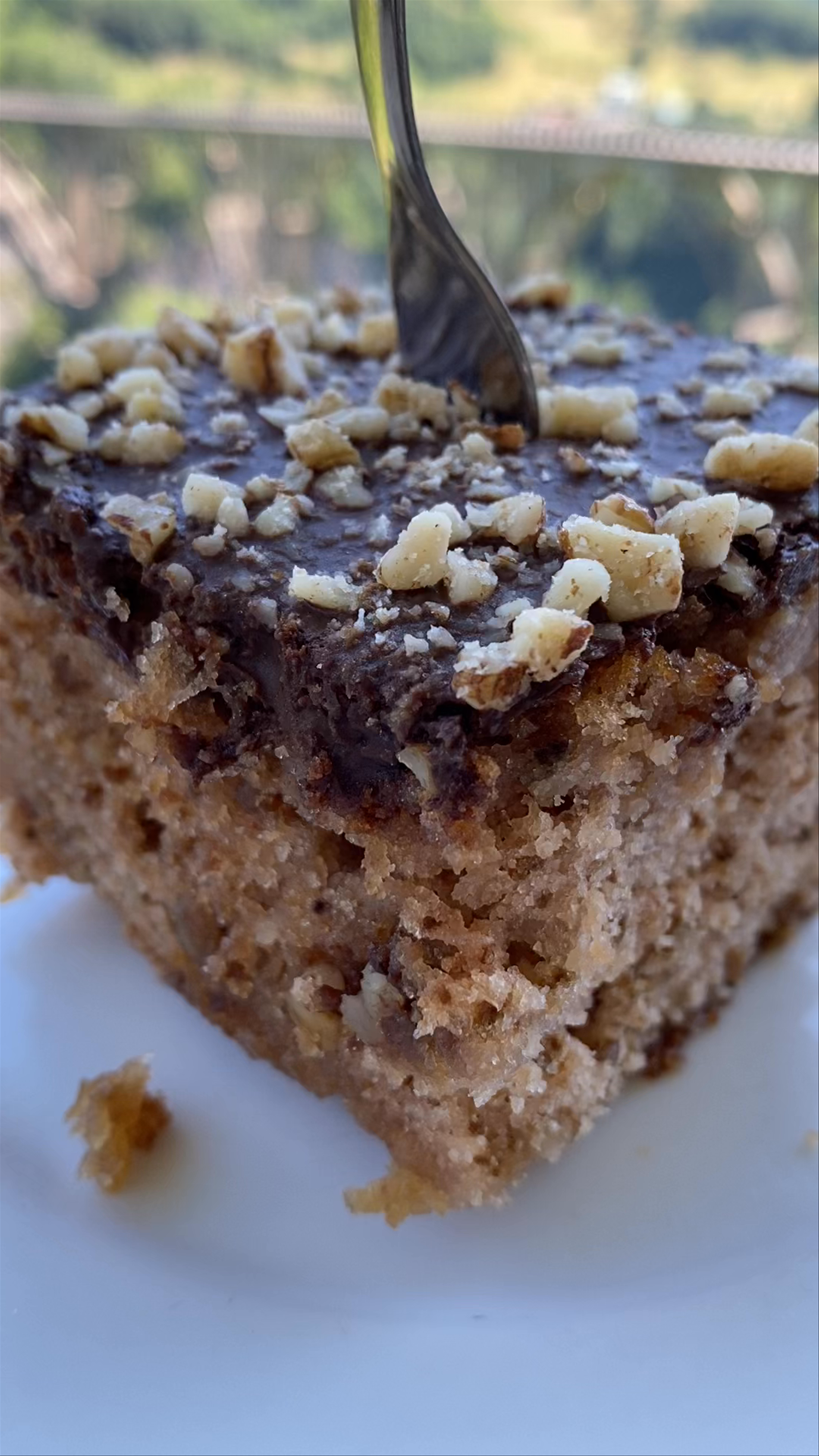 Tara Bridge Guesthouse -пити Каву