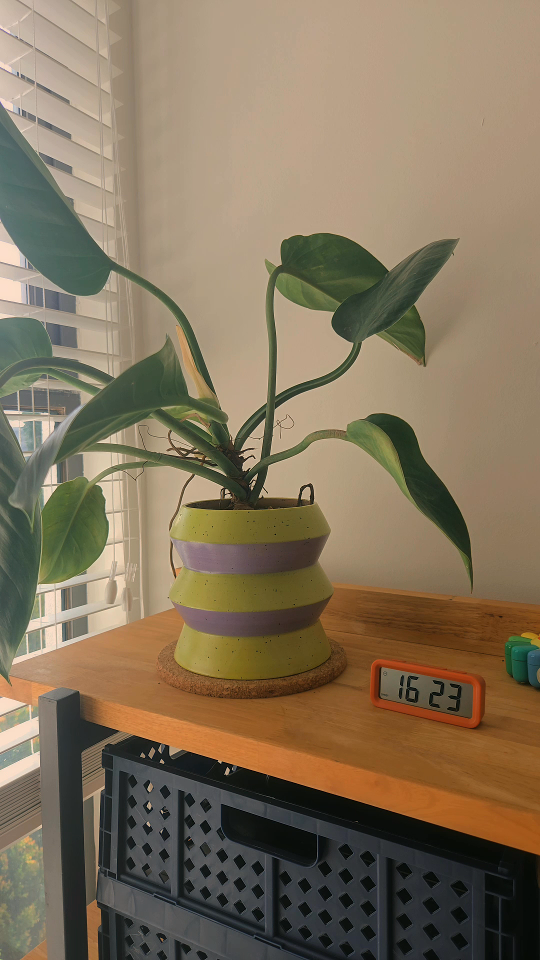 my-dog's-favourite-room-🐾