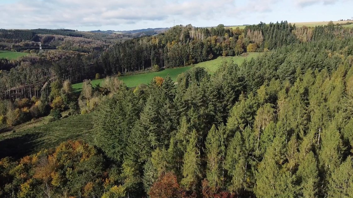 Logement BE-1091224-La Roche-en-Ardenne