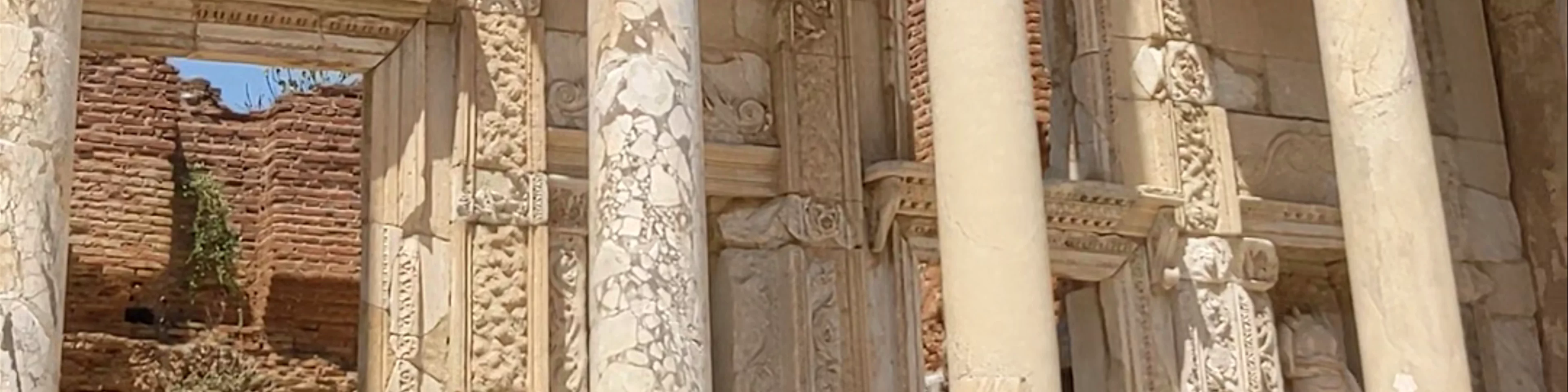 Acarlar