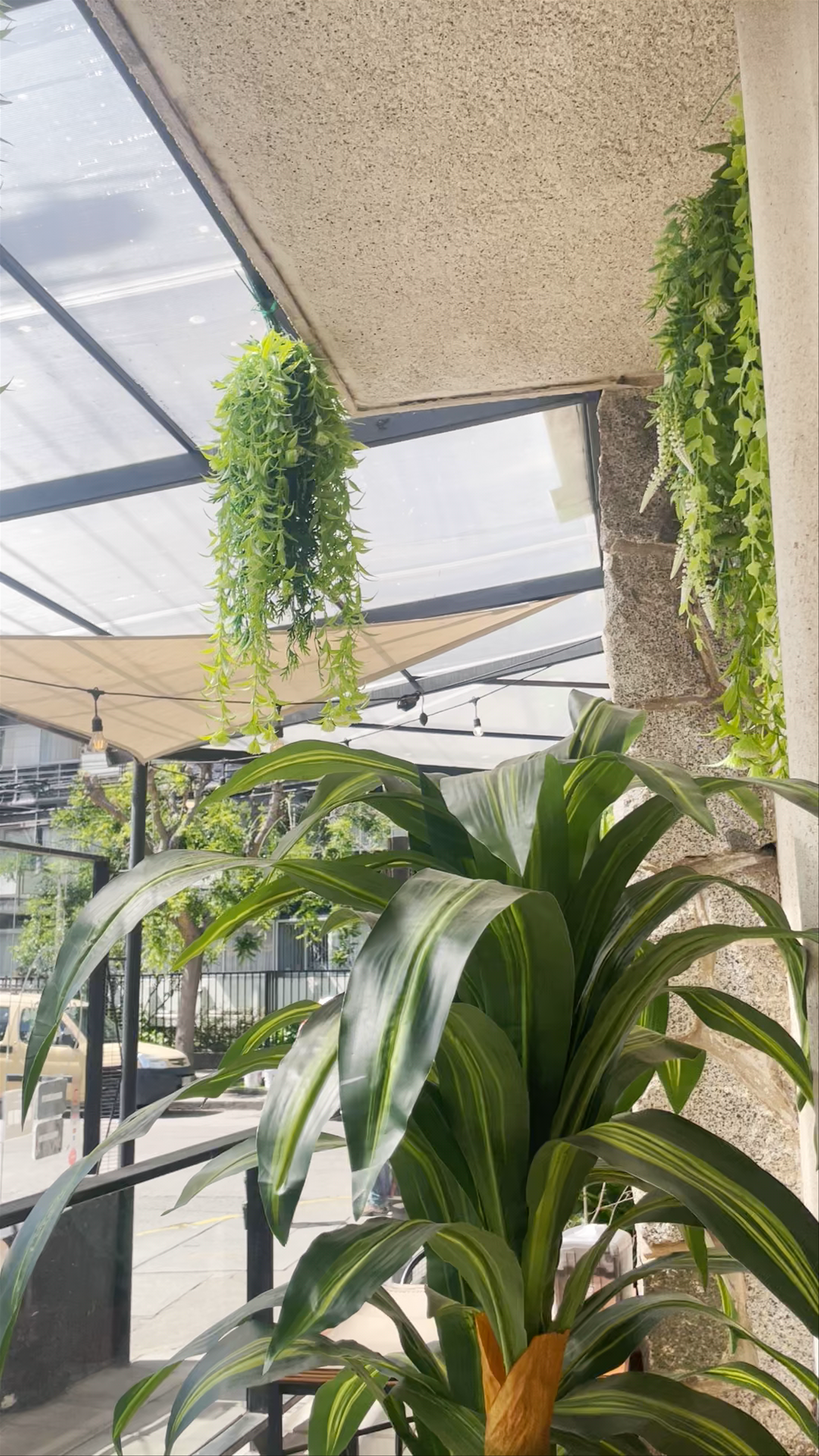 schoperia 4 1/2 - 4 1/2 Poniente