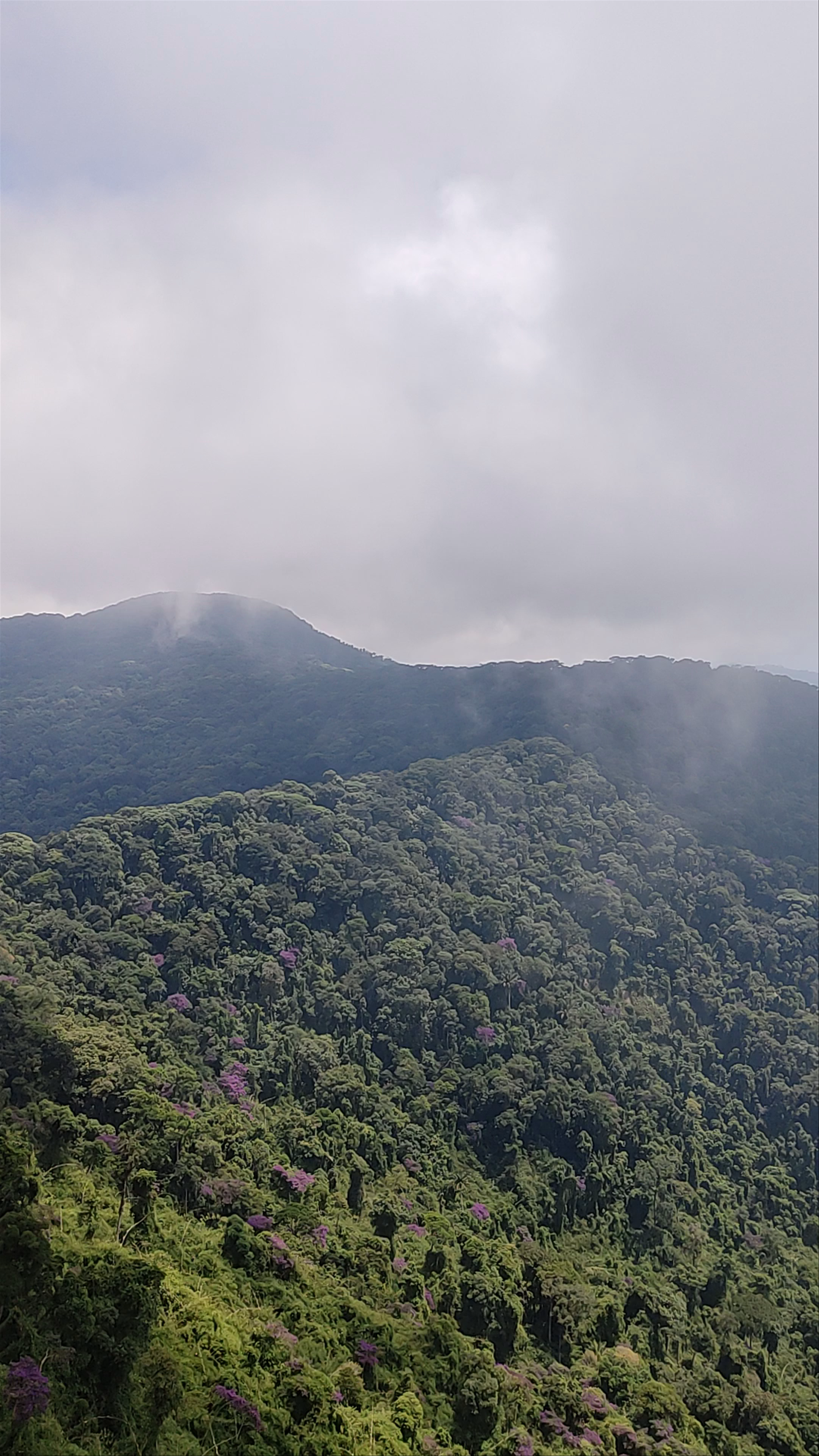Pico do Papagaio - Abraão
