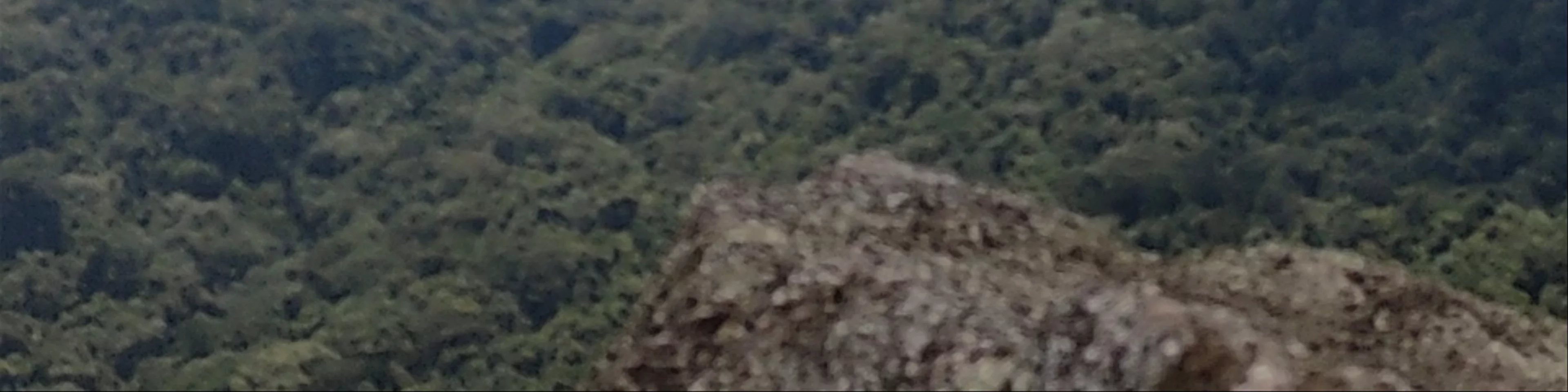 Pico do Papagaio - Abraão