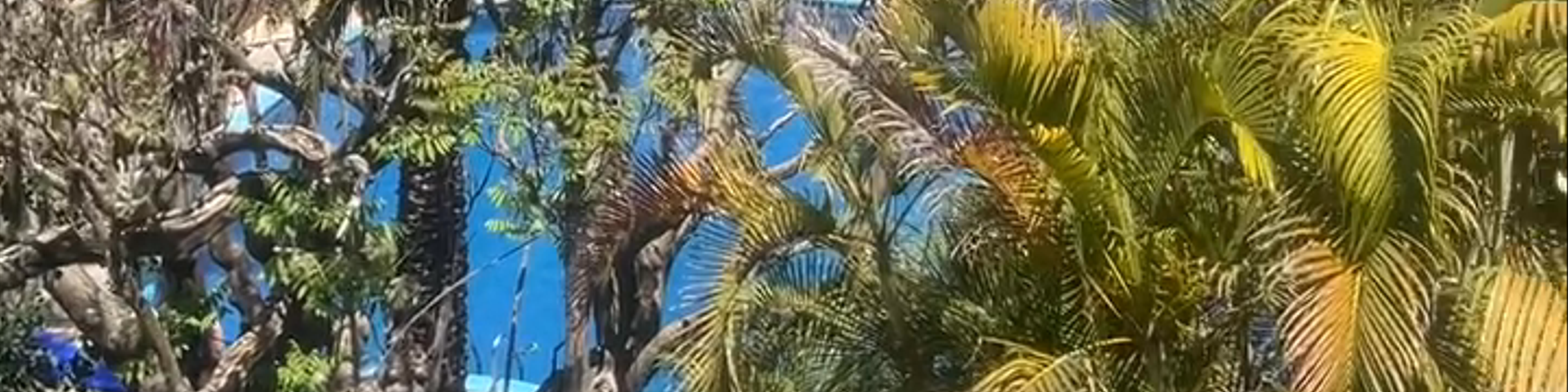 Oaxaca