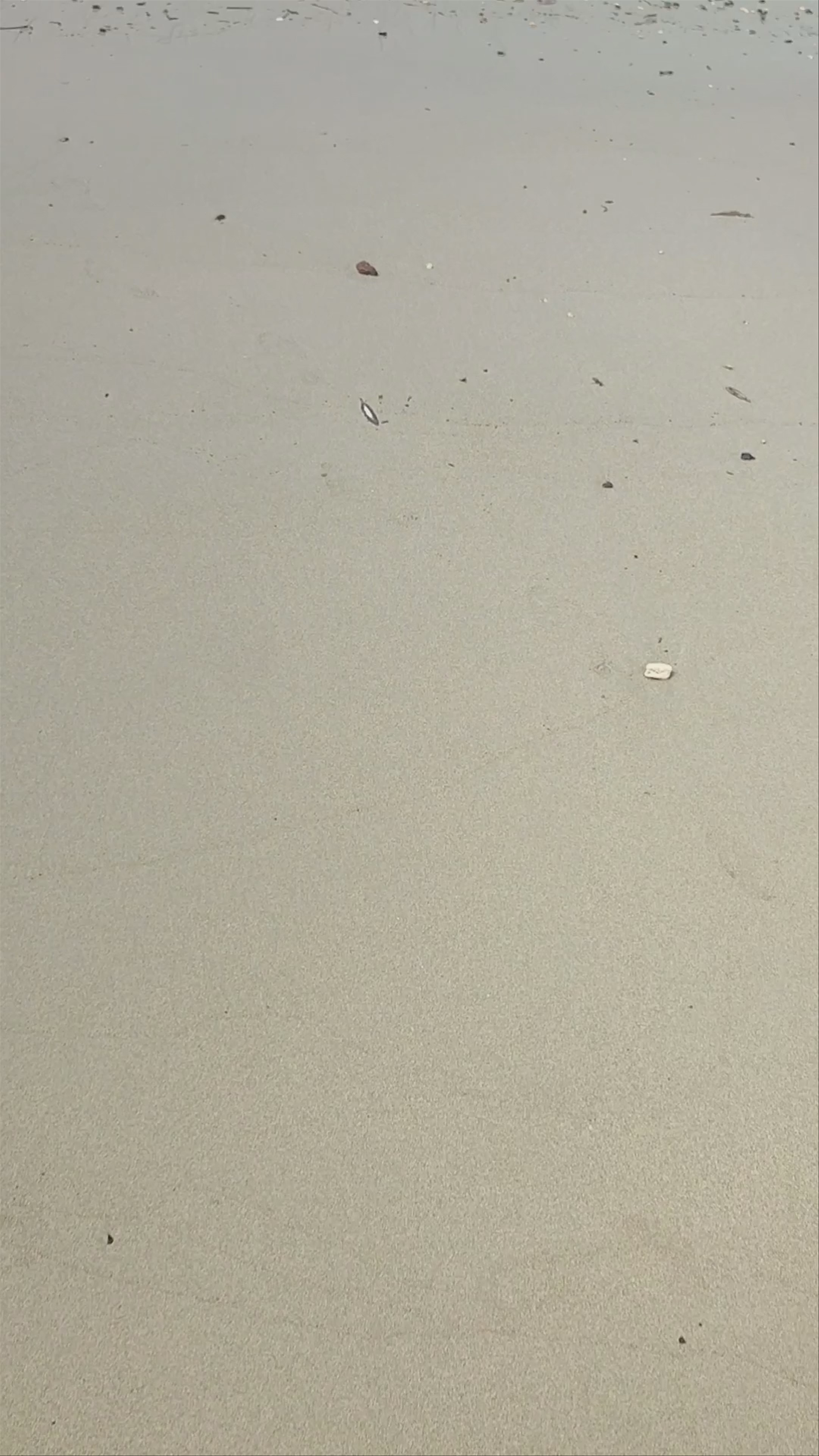 Praia dos Tamarindos