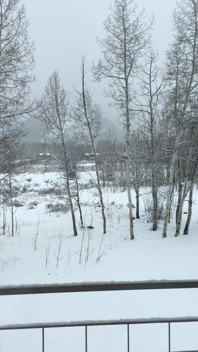 Aspen Meadows Resort  - Peaceful snow fall - Resorts Near Me - Aspen, Colorado