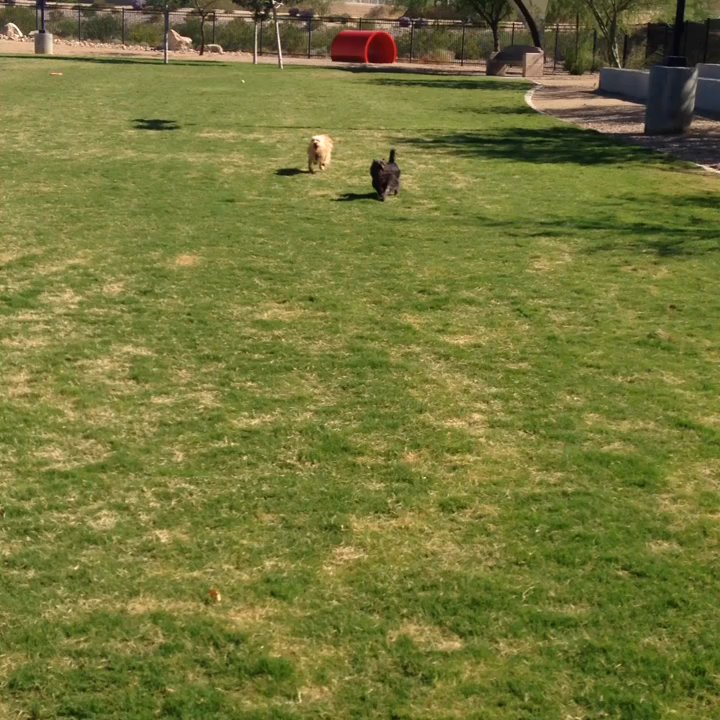 Video thumbnail 5 more videos