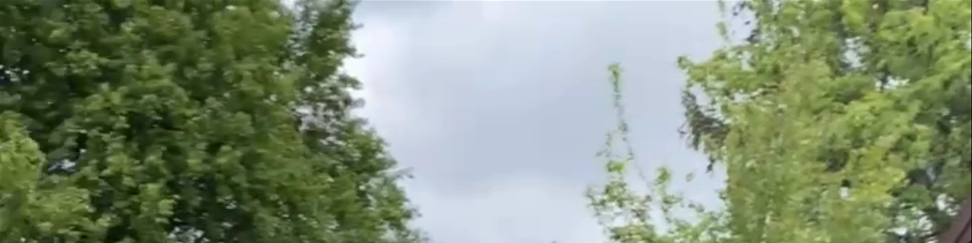 Siedlisko Poleski Zakątek