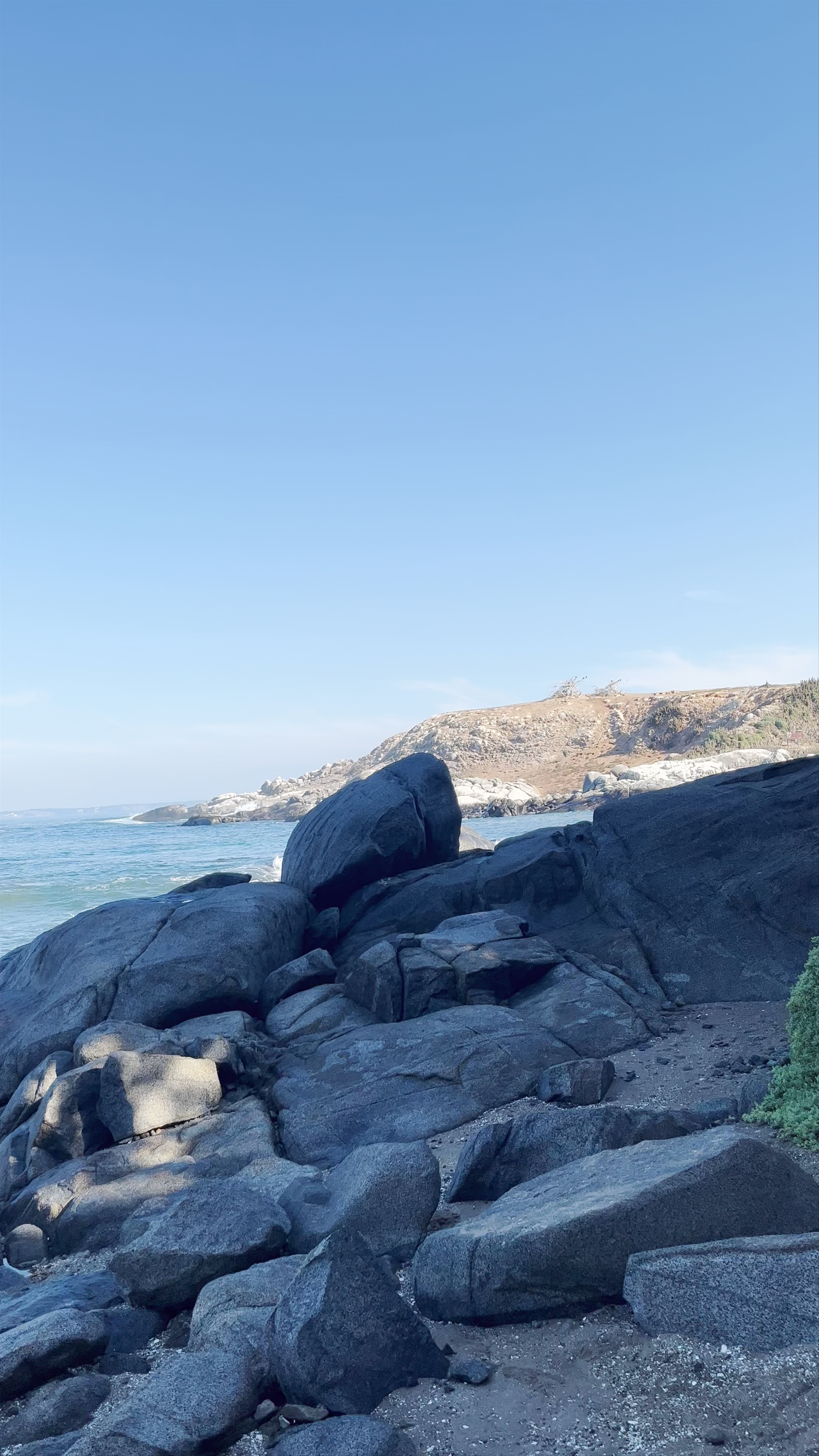 Playa Cachagua - Federico Kohnenkampf