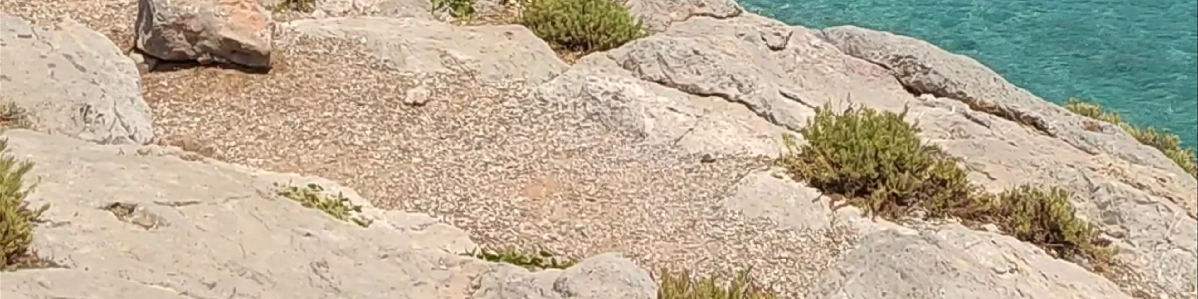Γραμβούσα Χανίων