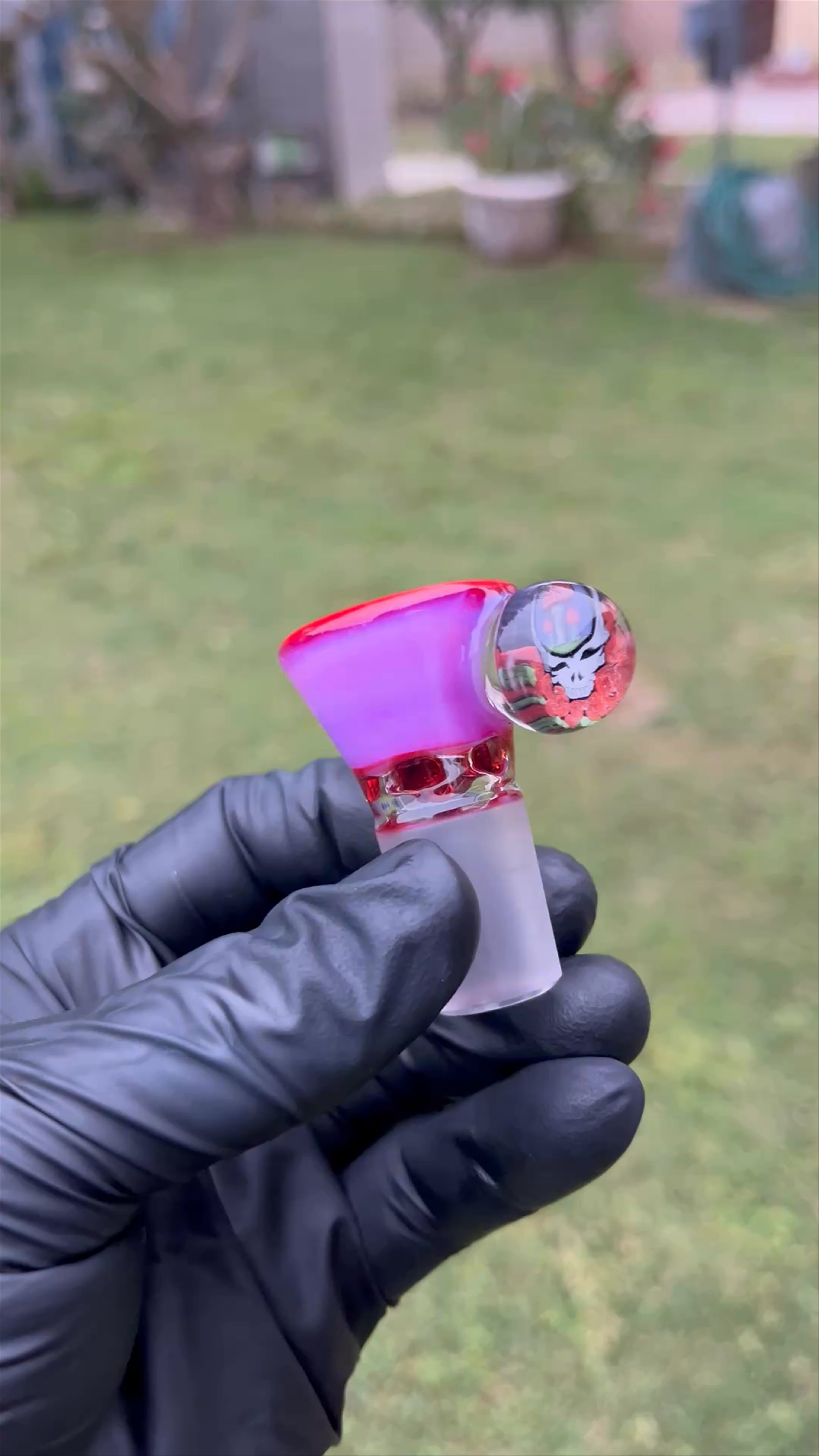 Preview pic of AMORA GRATEFUL DEAD SLIDE