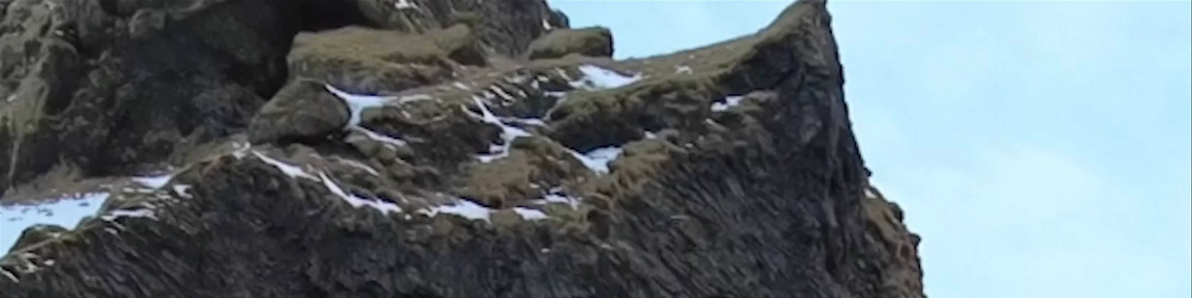 Black Sand Beach Reynisfjara