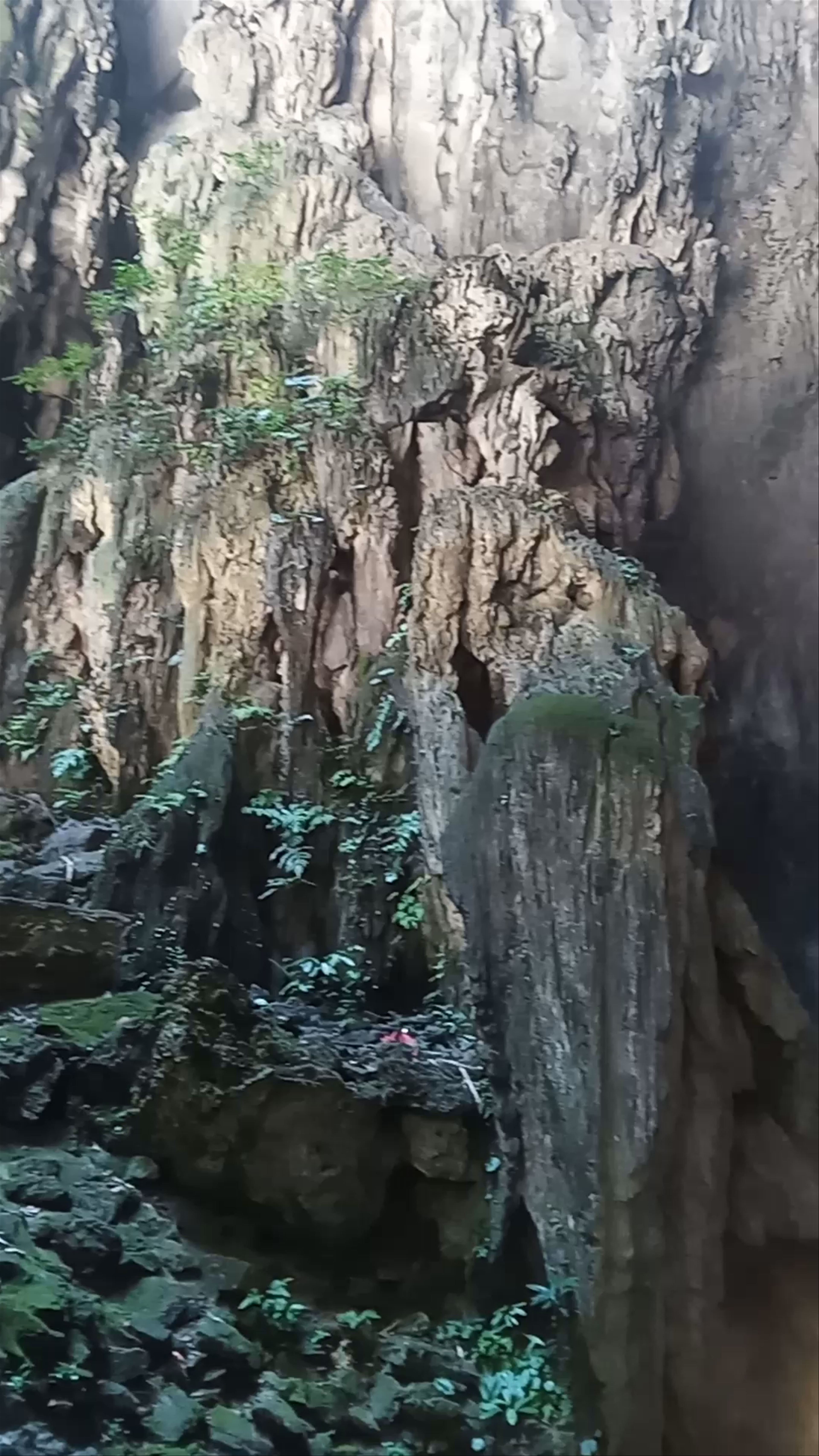 Sri Subramaniar Swamy Temple