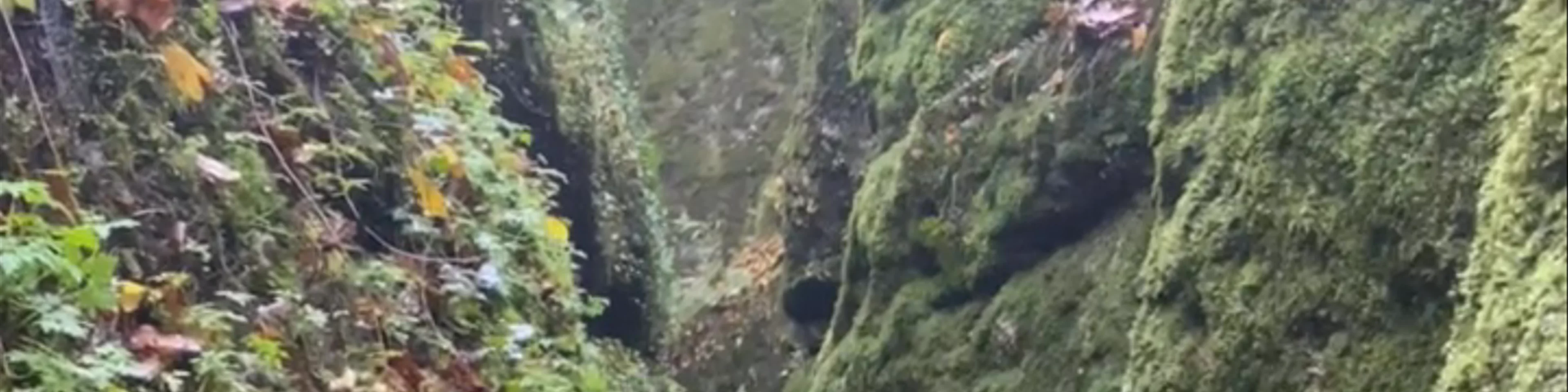 Dragon Gorge