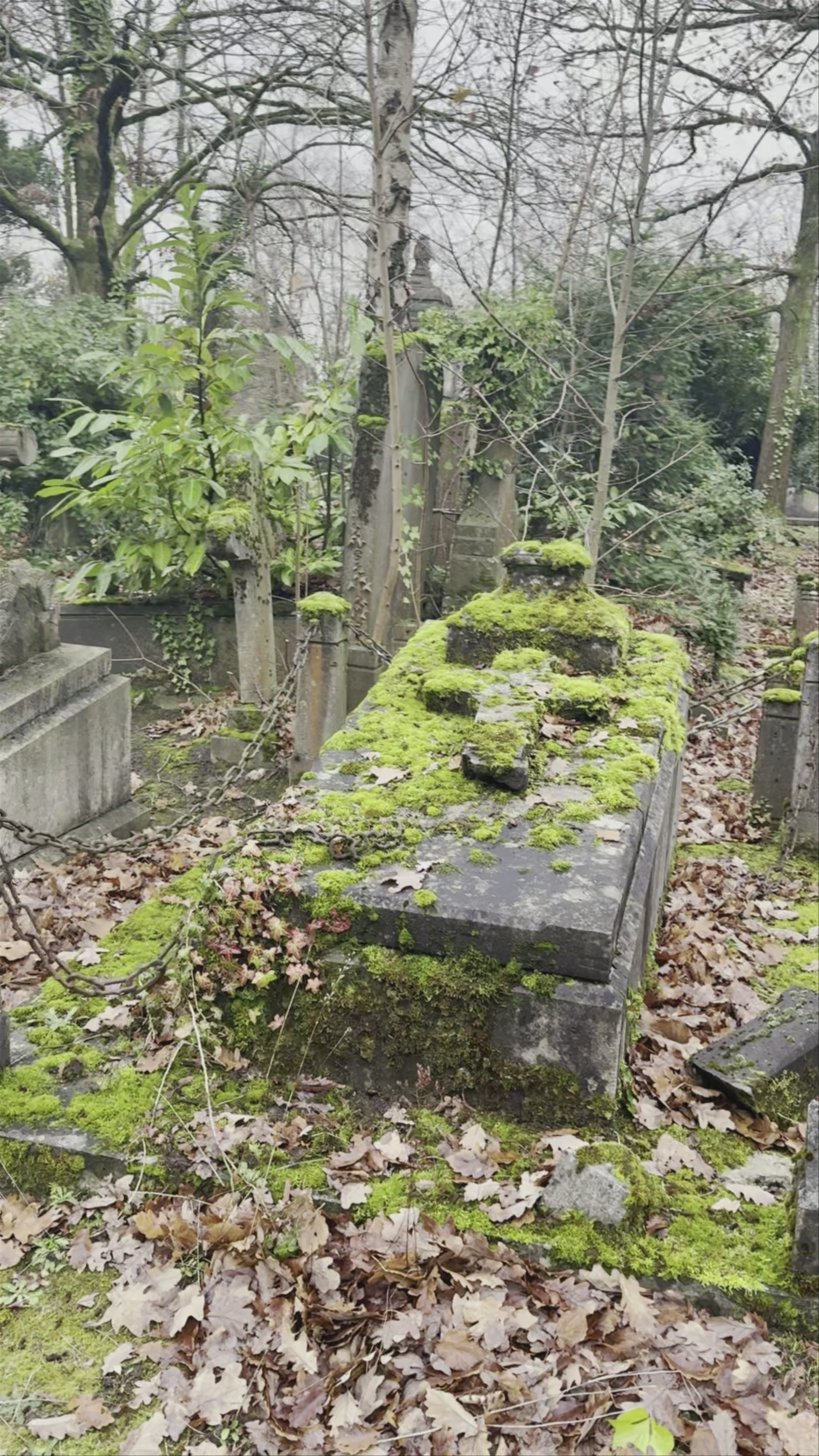 Cemetery Dieweg