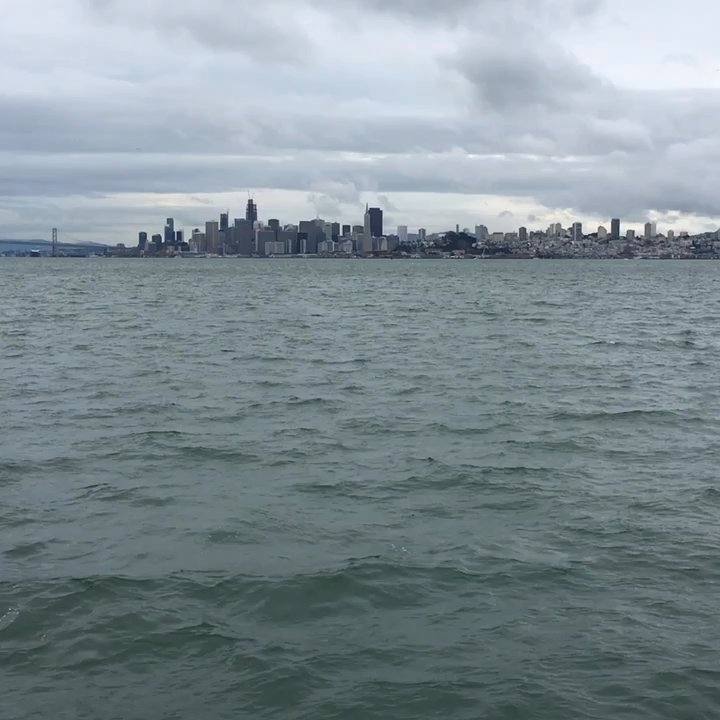 Oceanic West - The Vogager takes us out of SF Bay for ash scattering memorial. - Funeral Services & Cemeteries Near Me