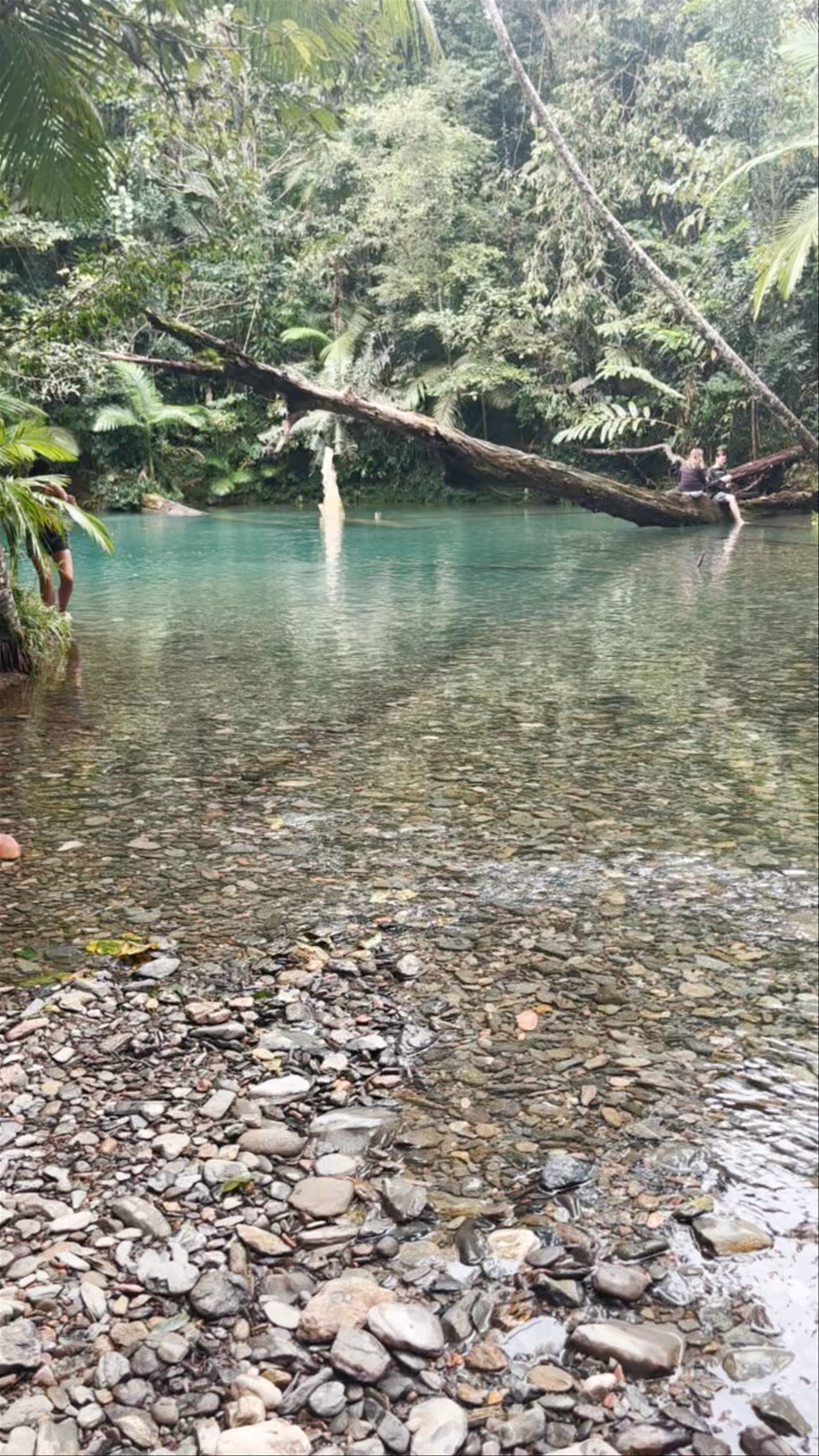 Serene Swimming Spot at Cooper Creek, Australia