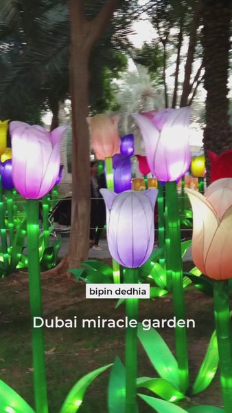 Photo of Dubai miracle garden