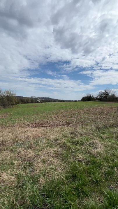 Windy Acres Tract - Gravel road walk - Parks Near Me - Lebanon, New Jersey