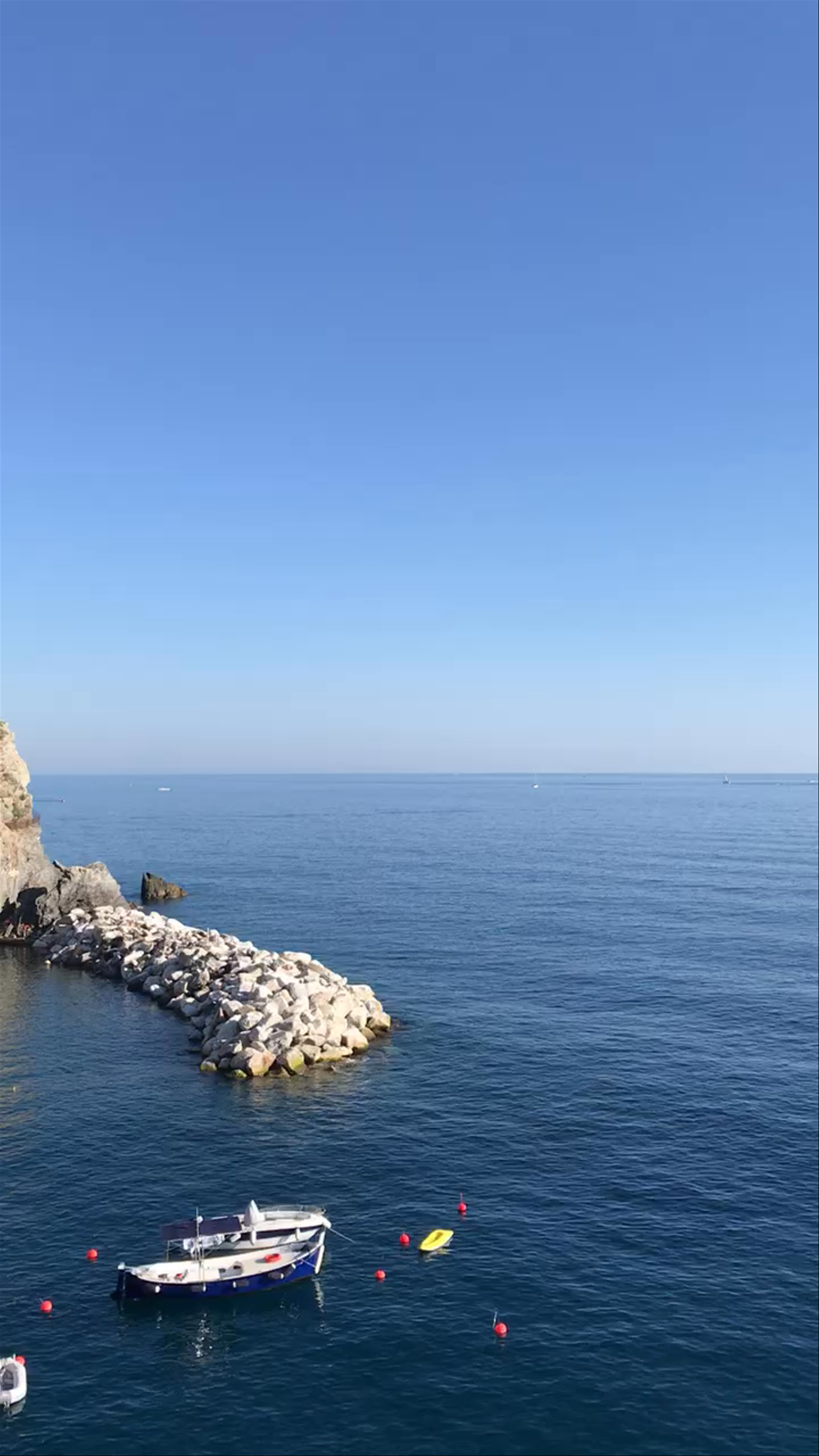 Manarola Harbour View