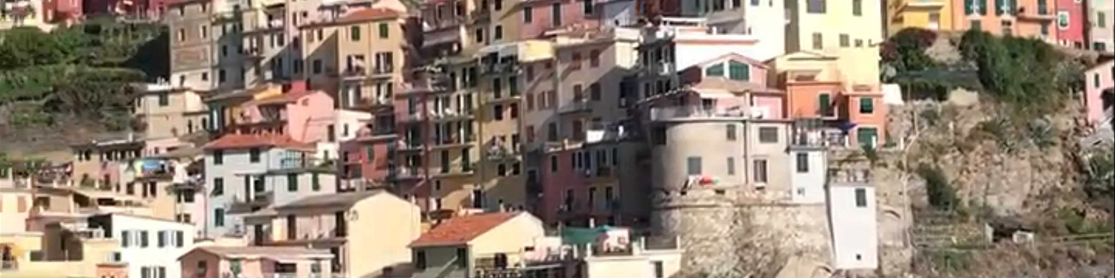Manarola Harbour View