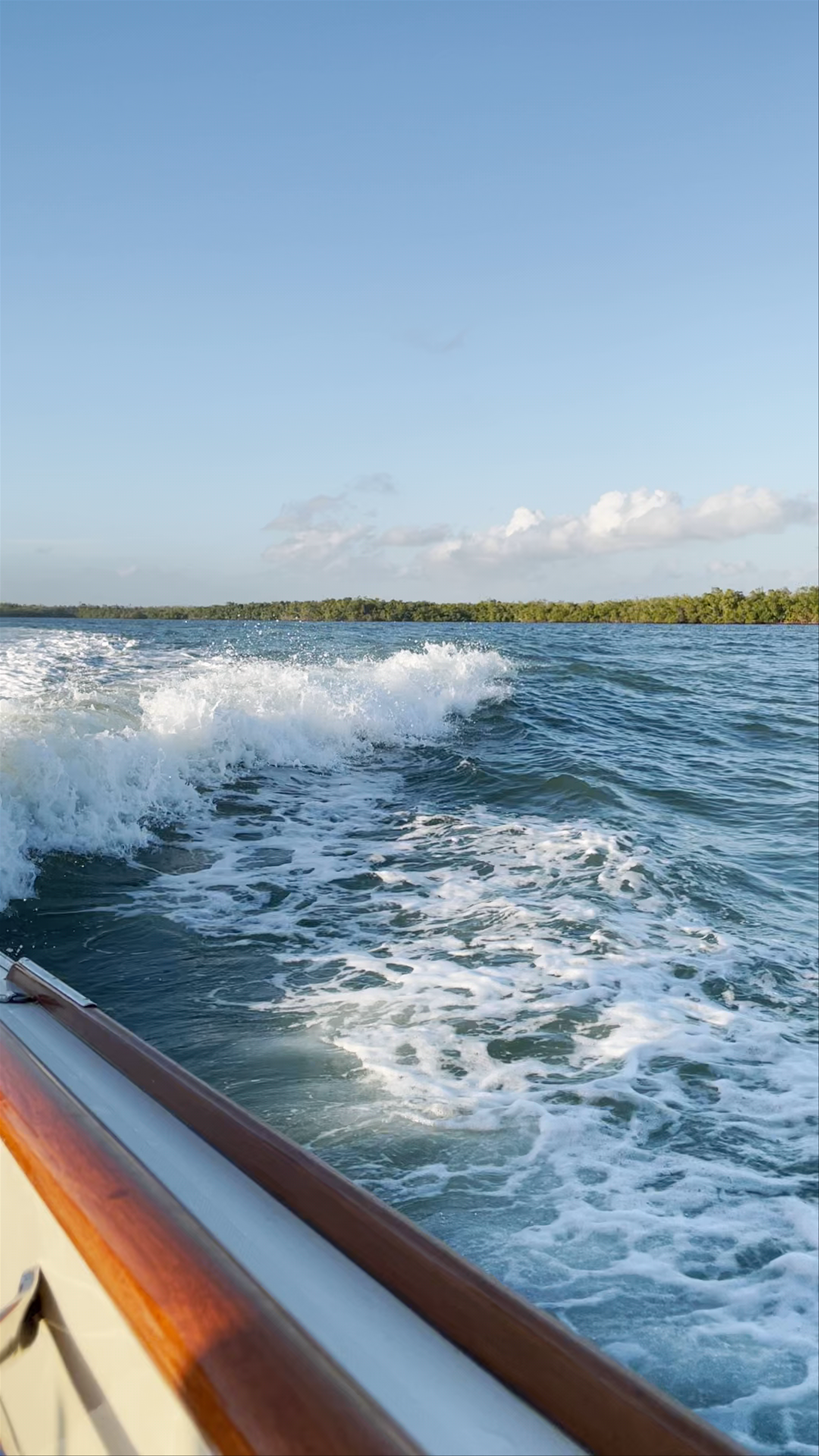 Boat Ride Adventure at Marco Island, Florida