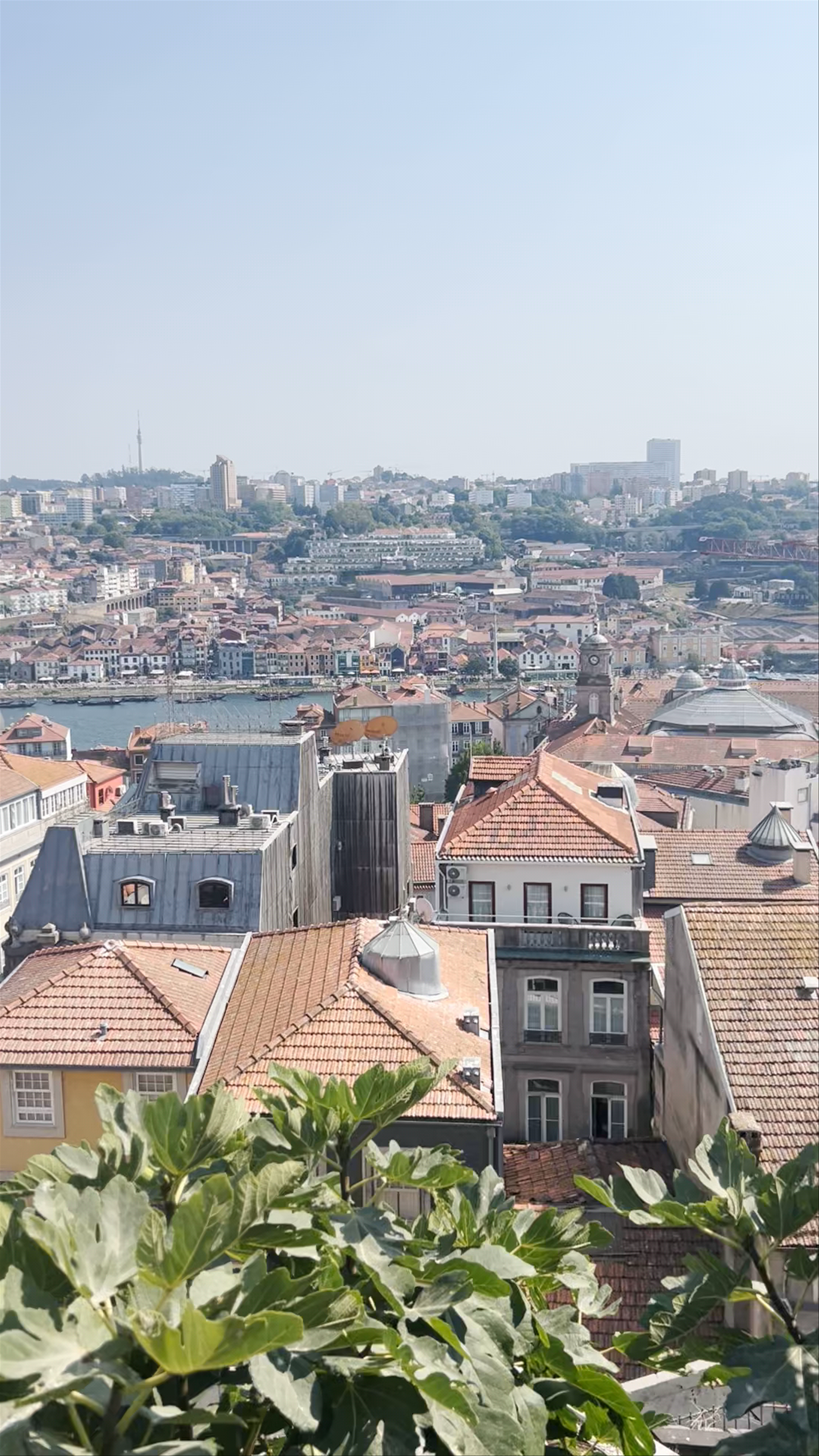 Miradouro da Vitória