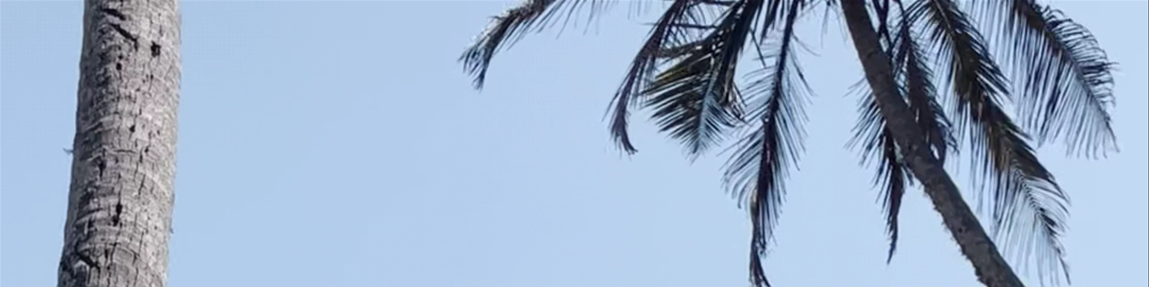 Blue Beach Island