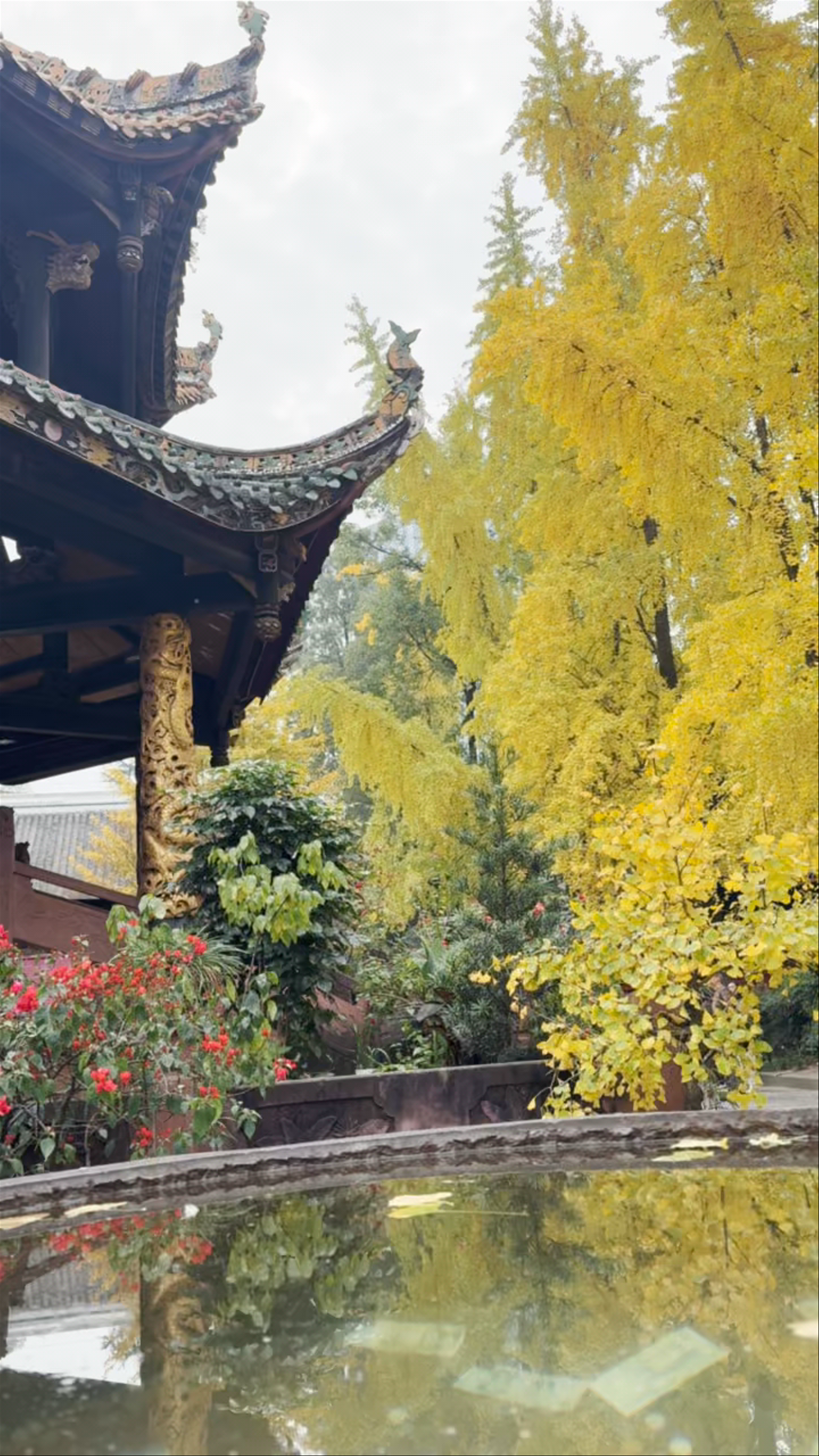 Qingyang Palace West Gate: Autumn Serenity in Chengdu