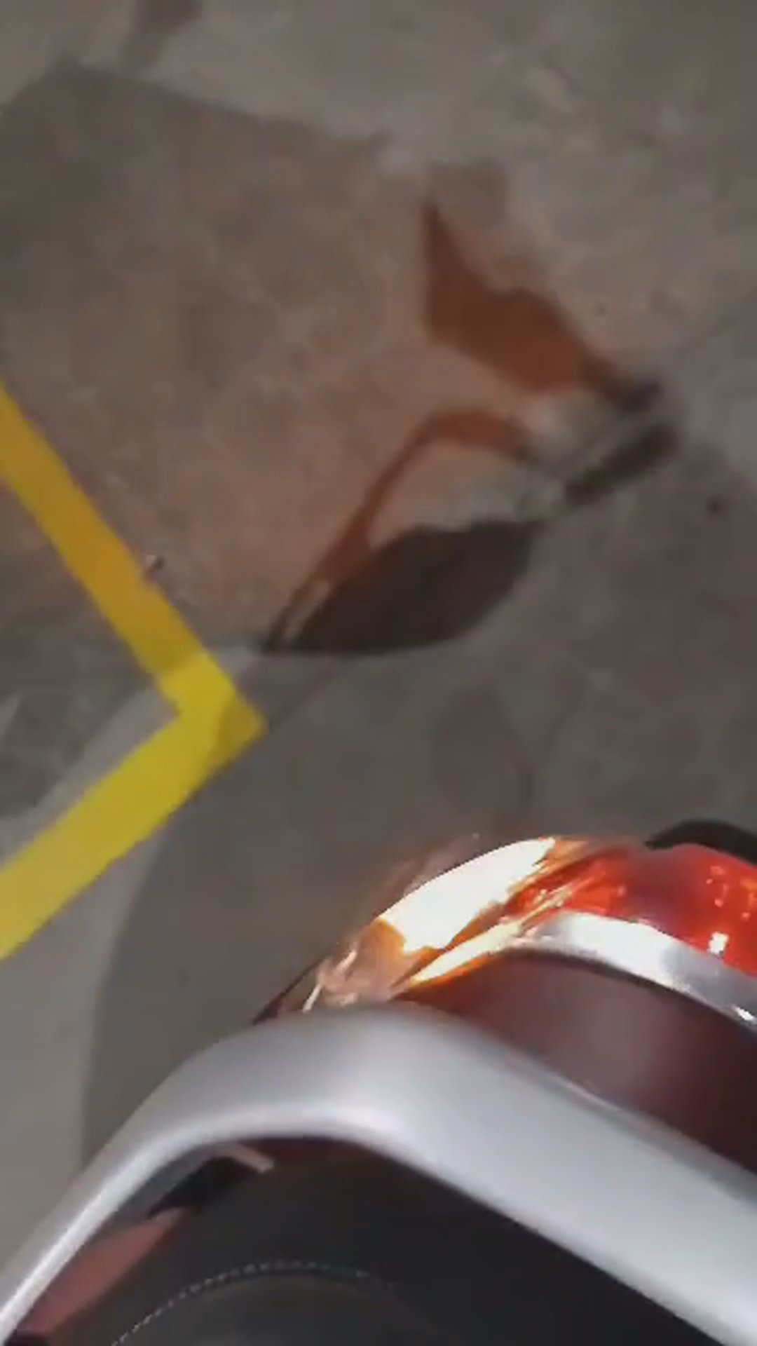 Walk-around video thumbnail