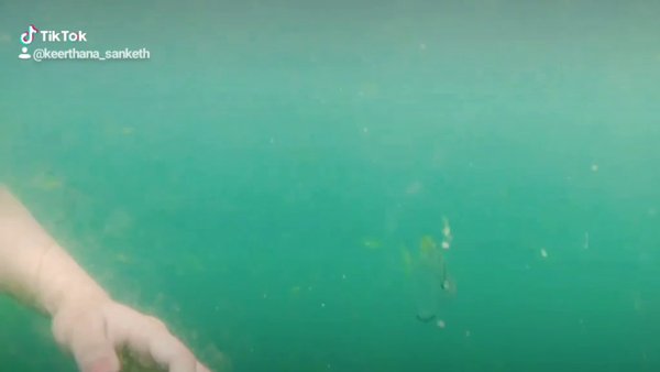 Photo of Scuba at Goa