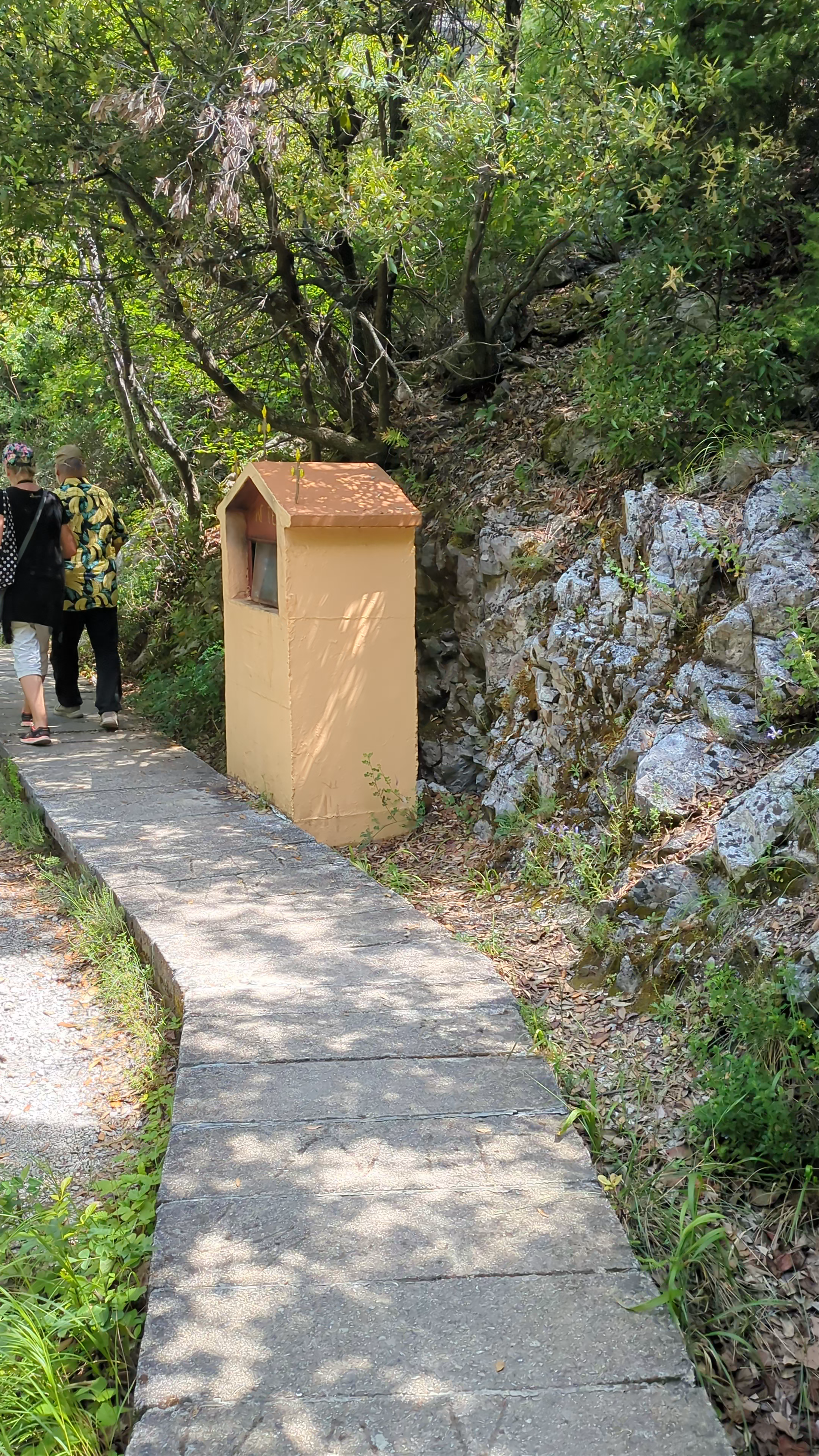 Scenic Forest Walk in Agios Spyridonas, Pieria Greece